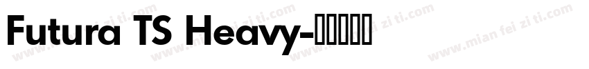 Futura TS Heavy字体转换